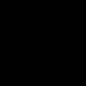 Meet your Posher, Devonte